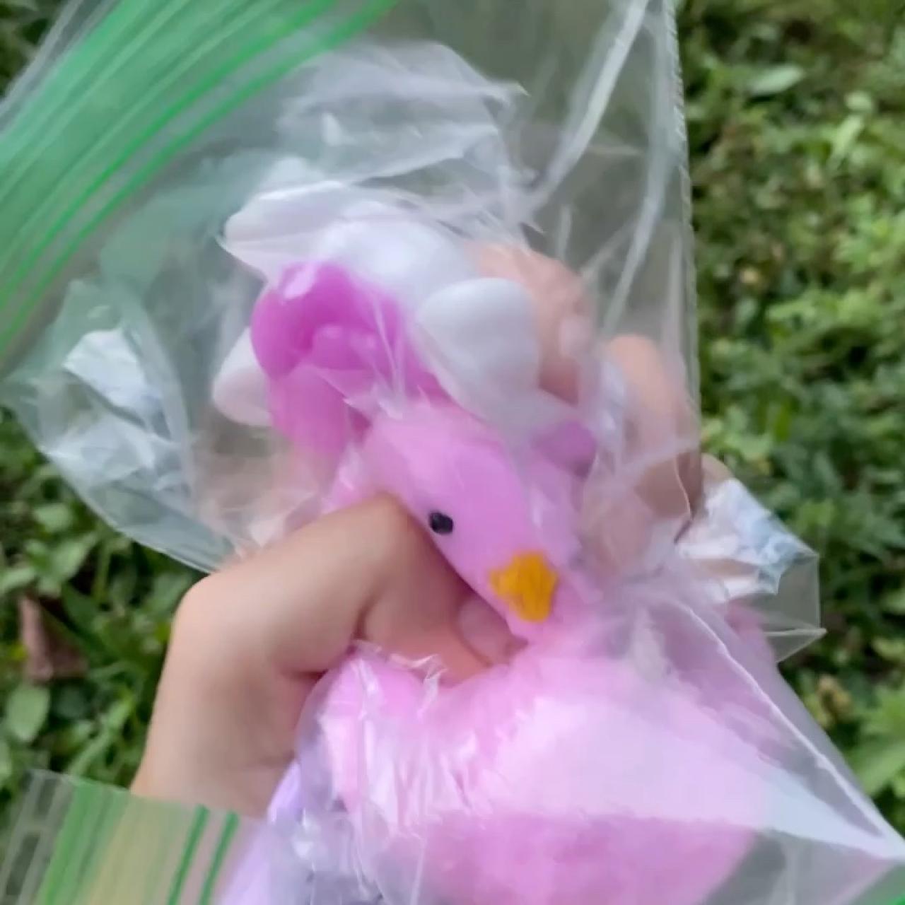 item listed by thefunkybins