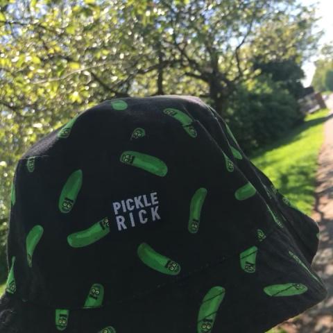pickle rick bucket hat