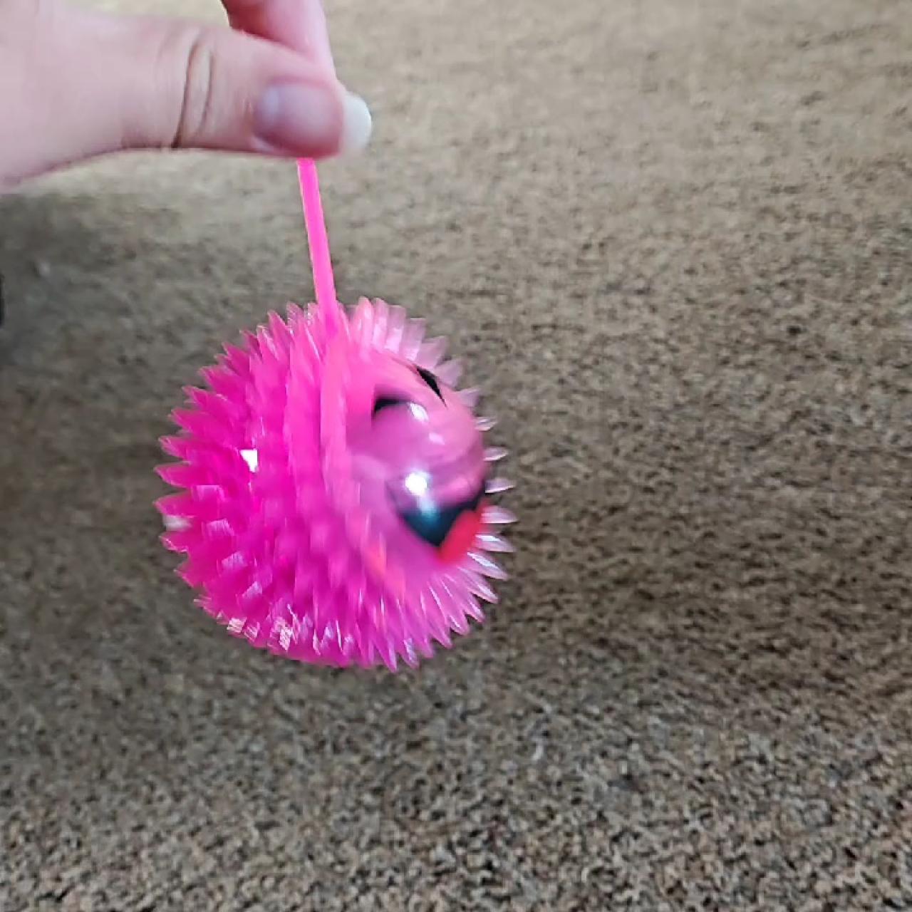 item listed by bushmuncher21