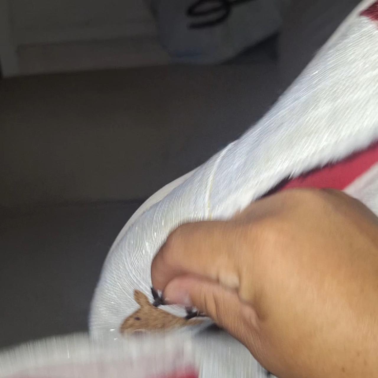 item listed by angiemestrada18