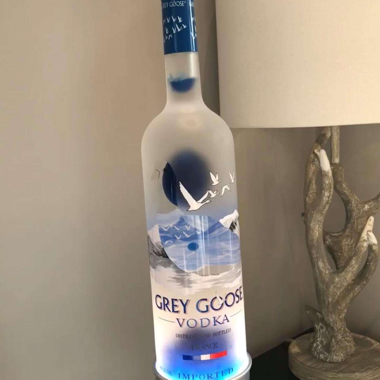 biggest bottle of grey goose