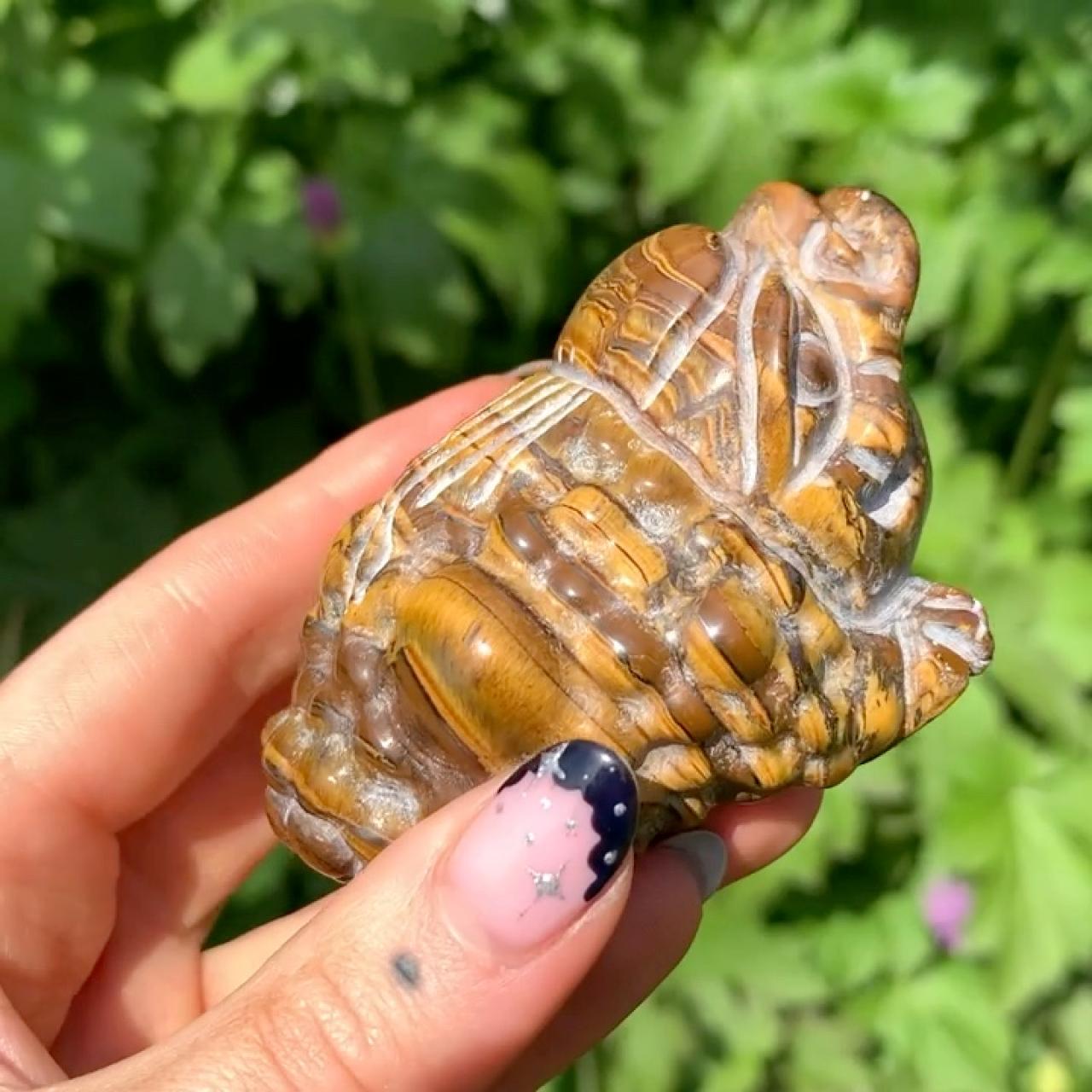 Tiger eye crystal money toad 🐸 Our money toads were... Depop