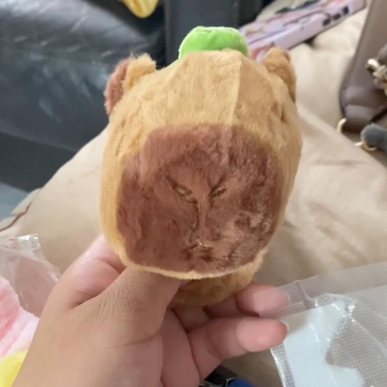 item listed by rosa2419